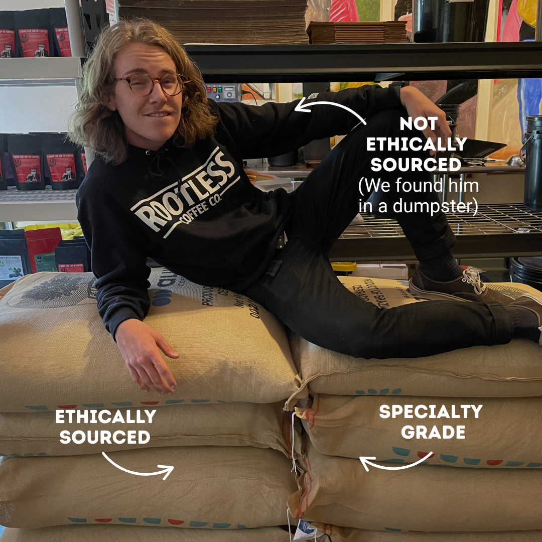 Rootless Coffee Company