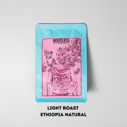 Image of Rootless Sampler Pack + FREE MUG