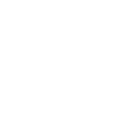 Rootless Coffee Company