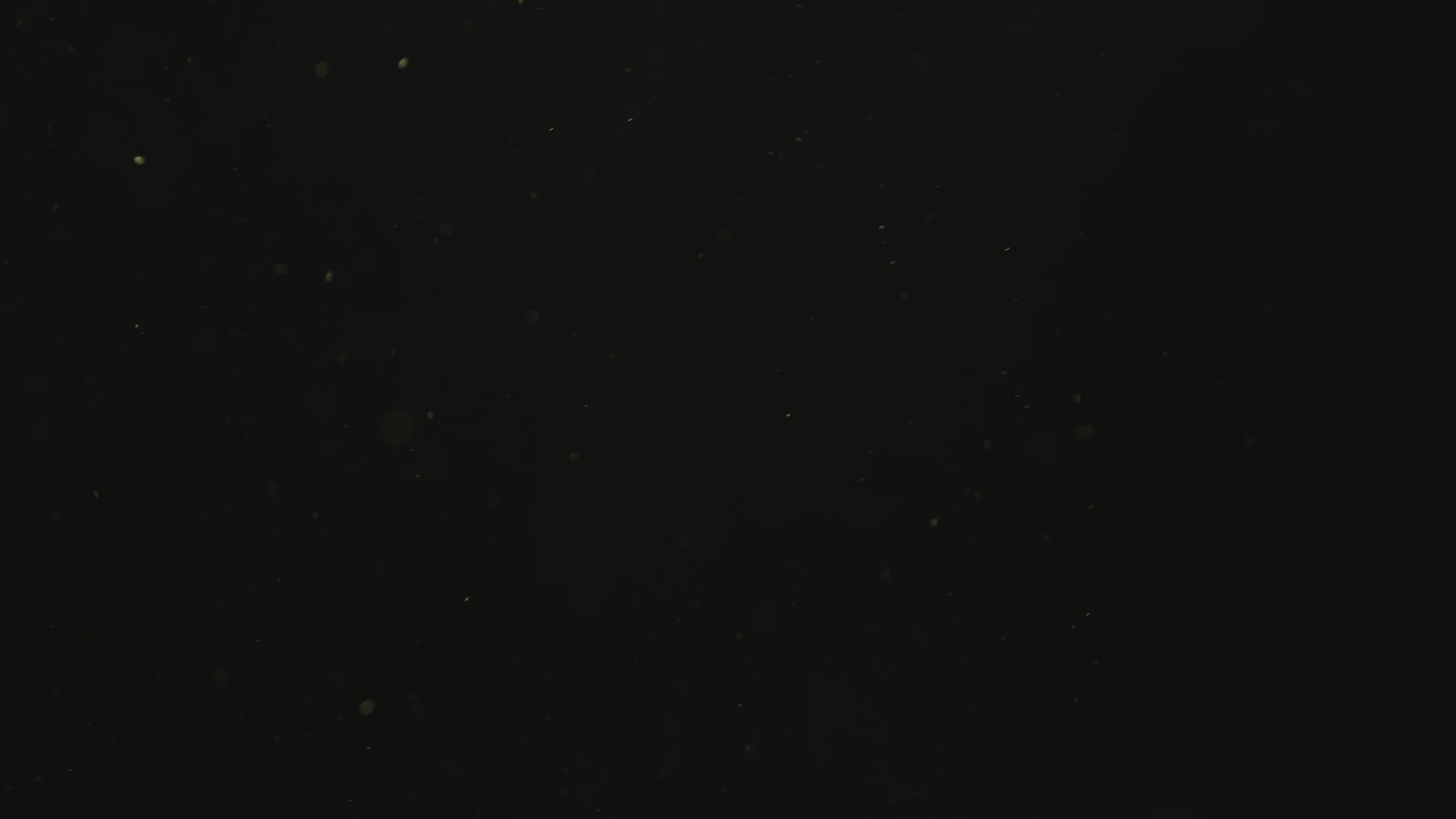 Rootless Coffee Company