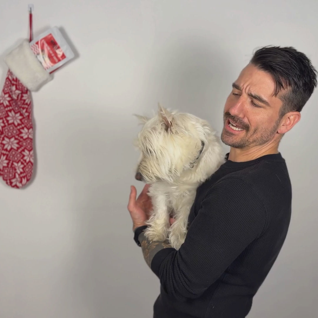 Rootless Coffee Company